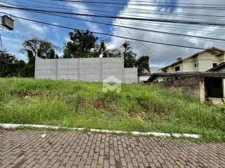 Terreno, foto 3