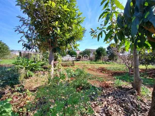 Vista externa de uma propriedade com vegetação densa e terreno aberto.