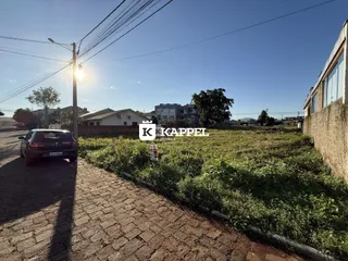 Vista externa da propriedade mostrando uma rua de terra e vegetação alta.