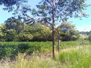Área rural, foto 8