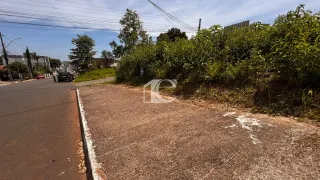 Terreno, foto 5
