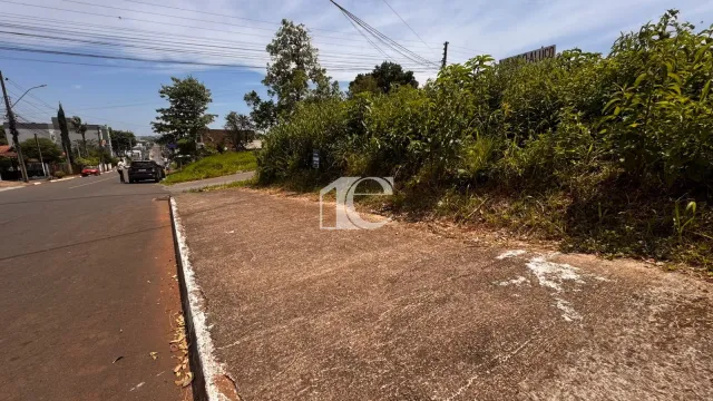 Terreno, foto 5