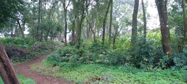 Terreno, foto 2