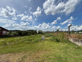 Terreno, foto 2