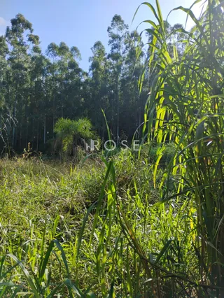 Terreno, foto 1
