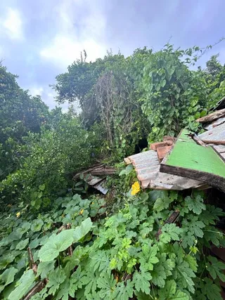 Casa com 3 dormitórios, foto 6