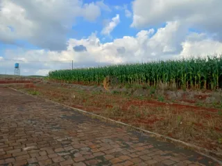 Terreno, foto 2