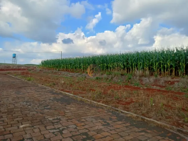 Terreno, foto 2