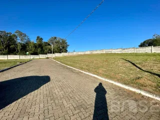 Terreno, foto 3