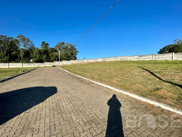Terreno, foto 3
