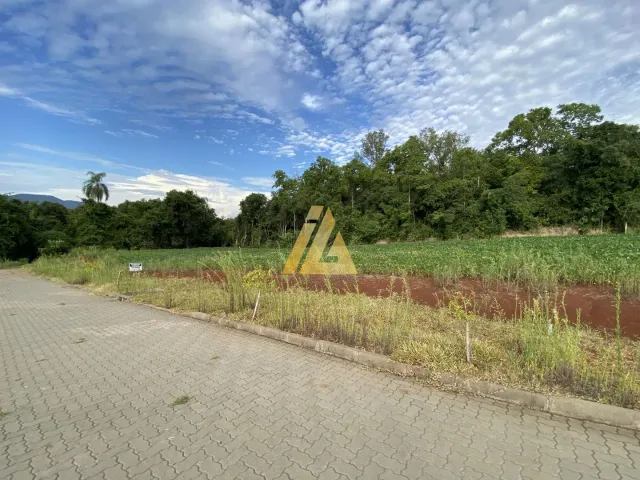 Terreno, foto 4