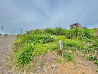 Vista externa de uma propriedade com vegetação alta e terreno irregular.