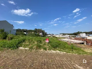 Vista externa de um terreno com vegetação alta.