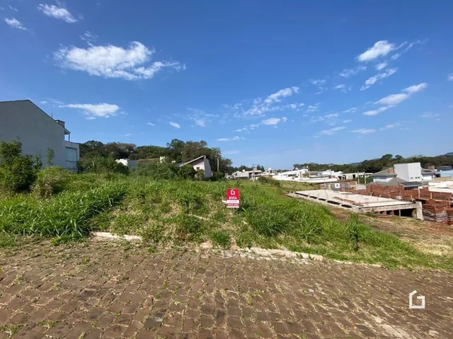 Vista externa de um terreno com vegetação alta.