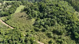 Vista aérea de uma área verde densamente arborizada em Lajeado.