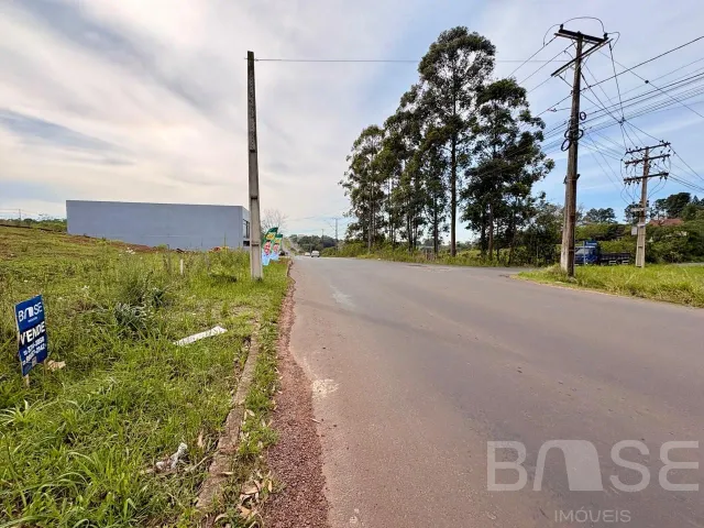 Terreno, foto 3
