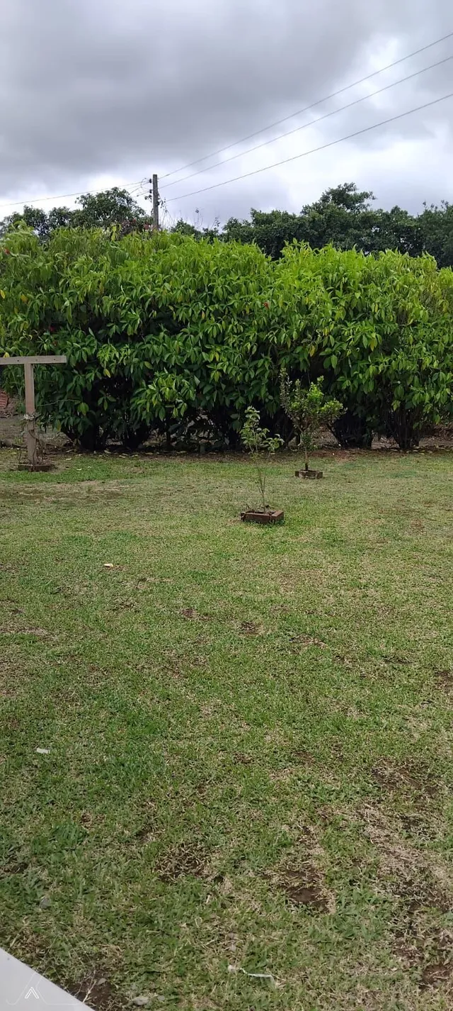 Área rural com 2 dormitórios, foto 5