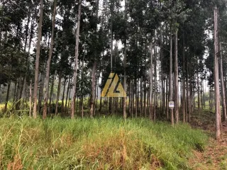 Área rural, foto 2