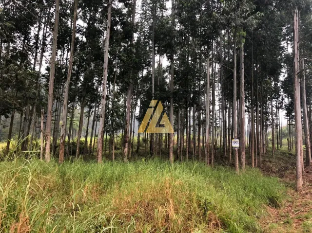 Área rural, foto 2