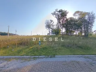 Terreno, foto 1