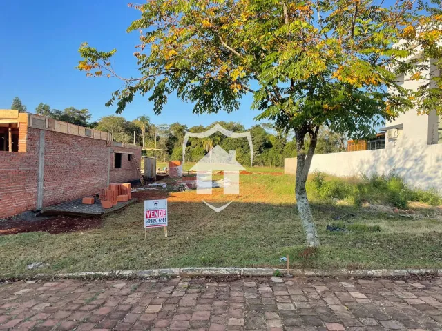 Terreno, foto 5
