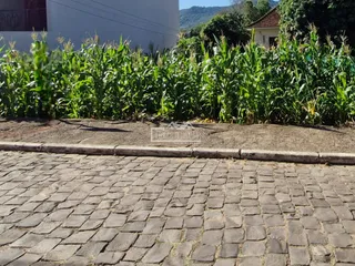Casa com 3 dormitórios, foto 7
