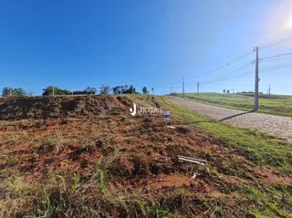 Paisagem de terra e vegetação em uma área aberta.