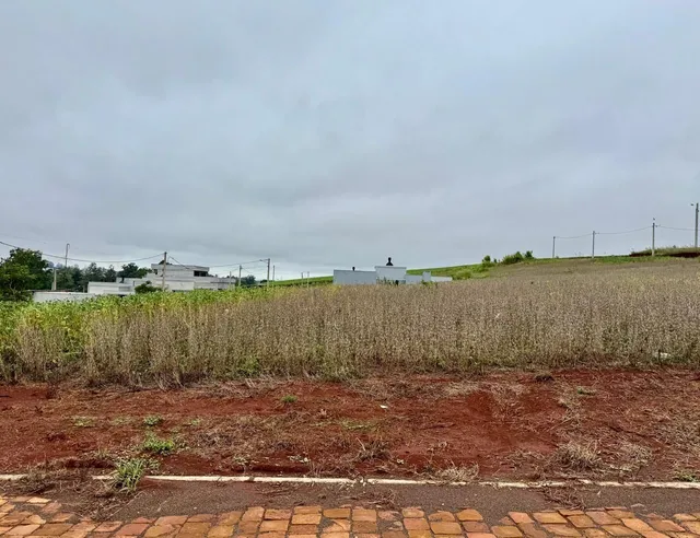 Terreno com 3 dormitórios, foto 2