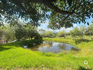 Área rural com 2 dormitórios, foto 25