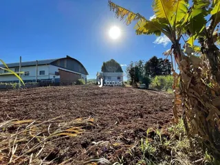 Campo de terra com vegetação seca em uma área rural.