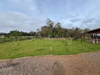 Área rural com 2 dormitórios, foto 23