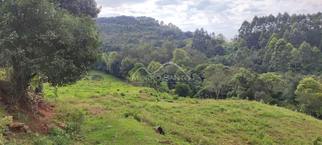Vista de uma área verde com vegetação densa ao fundo.