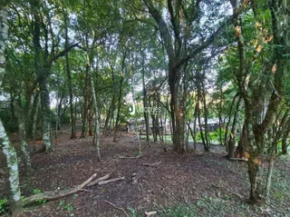 Área rural, foto 54