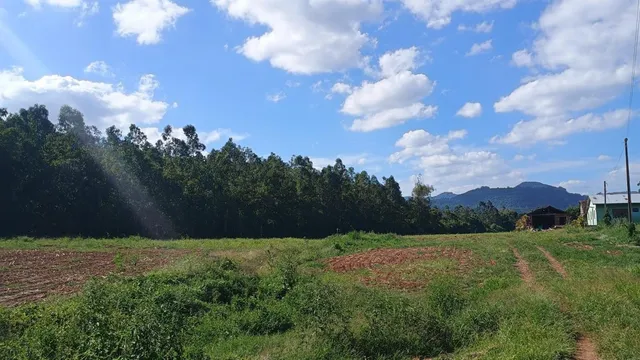 Área rural com 2 dormitórios, foto 4