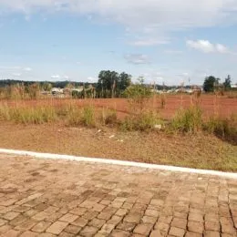 Vista de um terreno aberto com terra seca e vegetação rasteira.