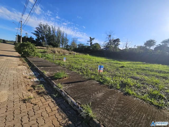 Terreno, foto 3