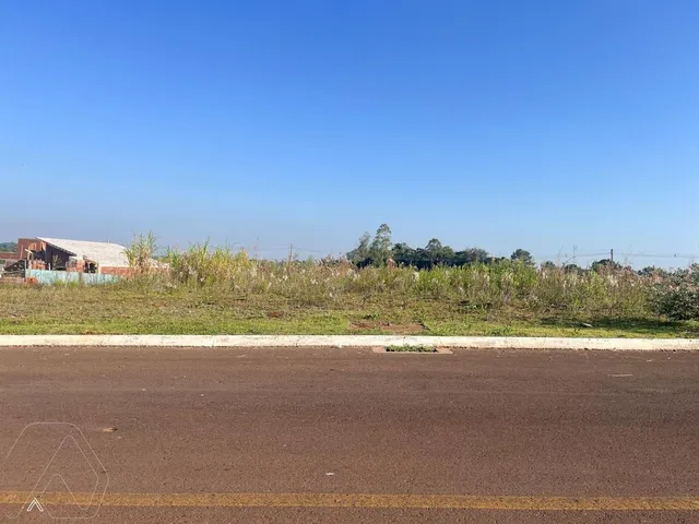 Terreno