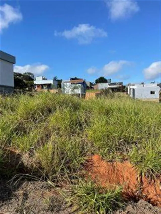 Terreno, foto 2