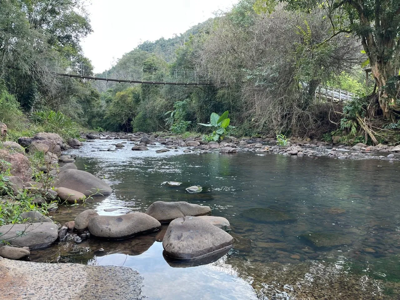 Vista de um rio com pedras e vegetação densa nas margens.