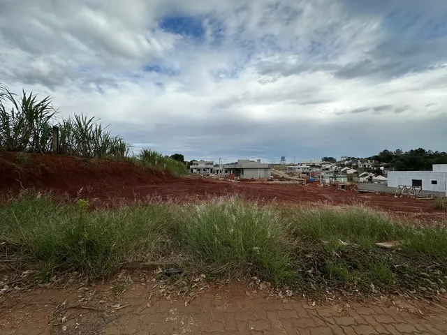 Paisagem de terra vermelha com vegetação rasteira sob um céu nublado.