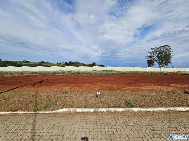 Terreno, foto 4