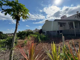 Vista externa da propriedade com vegetação seca no primeiro plano.