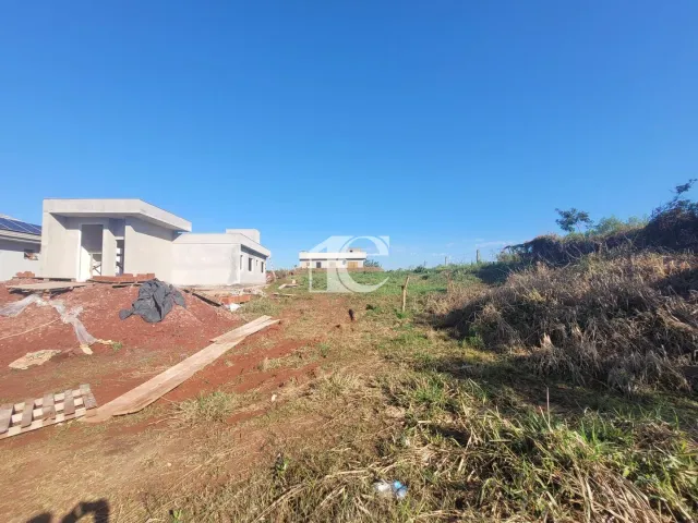 Terreno, foto 3