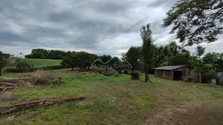 Vista externa de um terreno gramado com árvores e uma estrutura de madeira no fundo.