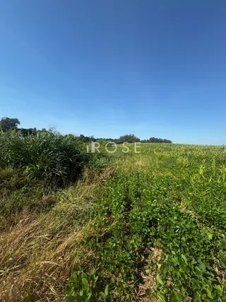 Área rural, foto 13