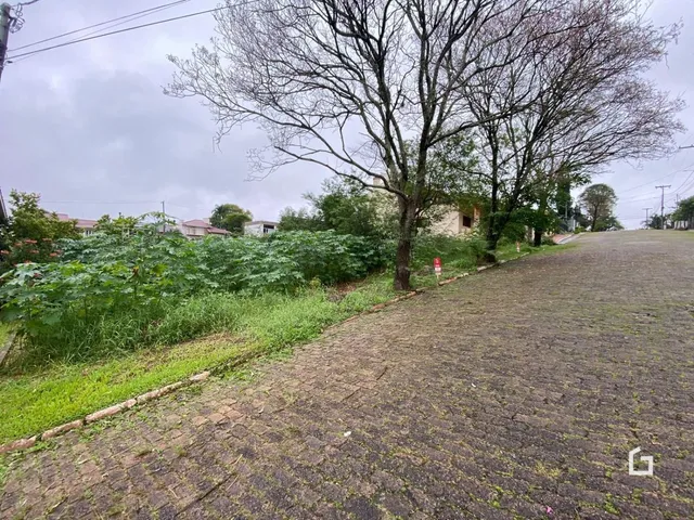 Terreno, foto 3