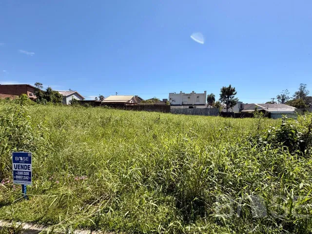 Terreno, foto 2