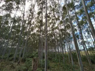 Área rural, foto 7