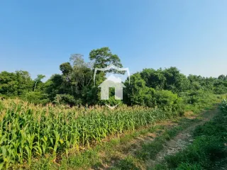 Área rural, foto 4