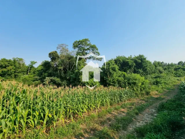 Área rural, foto 4